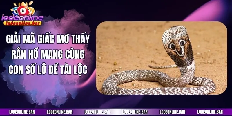 Giải Mã Giấc Mơ Thấy Rắn Hổ Mang Cùng Con Số Lô Đề Tài Lộc