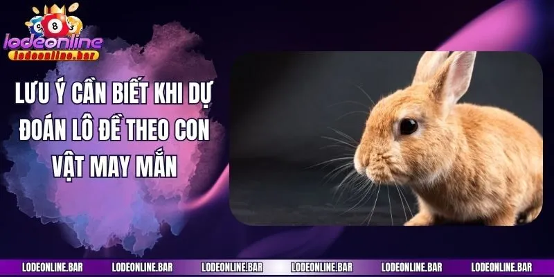 Lưu ý cần biết khi dự đoán lô đề theo con vật may mắn