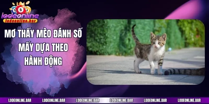Mơ thấy mèo đánh số mấy dựa theo hành động